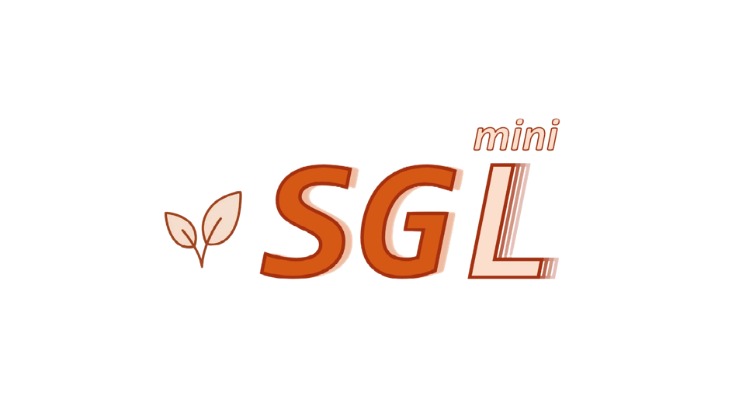 Mini-SGLang